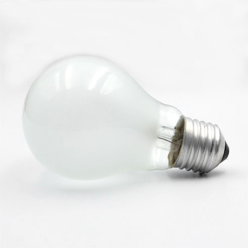 Rough Service Light Bulbs